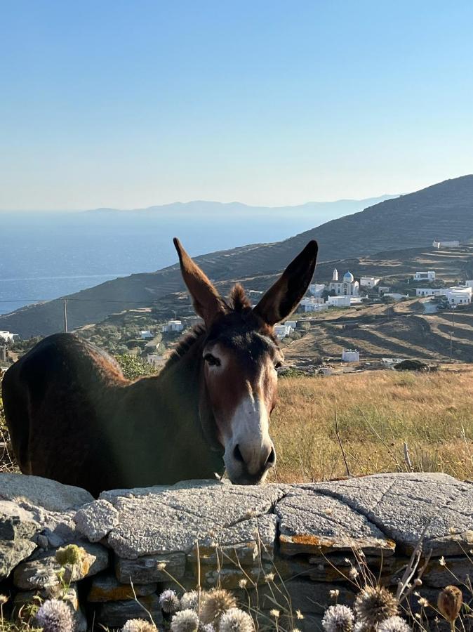 Sea Views - Marble Palace - 2 Floors Tinos Екстер'єр фото