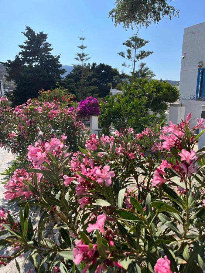 Sea Views - Marble Palace - 2 Floors Tinos Екстер'єр фото